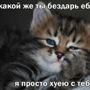 лаваш гавядина твая мама блядина
