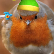 round robin