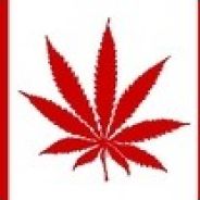 GanJa