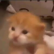 bub