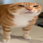 swag_lord