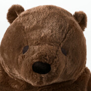 BearlyMissed