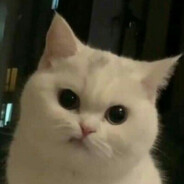 KAMOSHI