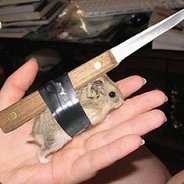 ApexBlade