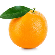 Neaportocala