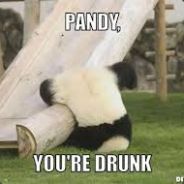TheDrunkenAsianPanda