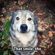 BGAUTISTI khal doggo