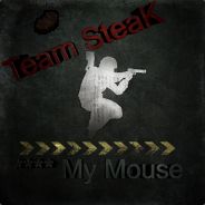 **** My mouse †
