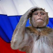 SiberianRadical