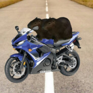 duas capivaras em uma moto