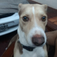 tuker