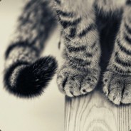 Miau7w7