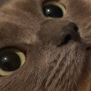 Waa
