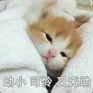 开摆青年