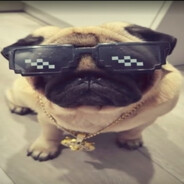 CoolDrago