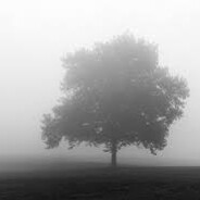 Foggy