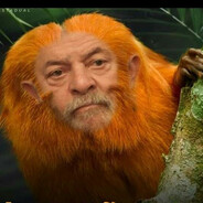 Mico Ladrao Safado