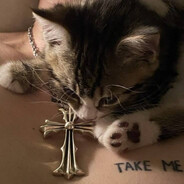 meow