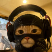 viet terrorist