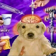 Real Human