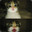 Group Avatar