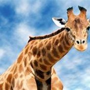 Kampfgiraffe