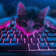 KITEKAT