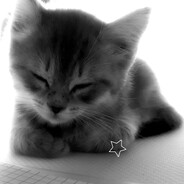 ࣭𝙺 𝚒 𝚣 𝚞 avatar