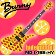 HybS*