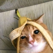 котик с бананом