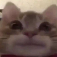 kikiix_18