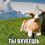 Moo