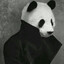 mysterious panda