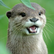 La Loutre Cosmique