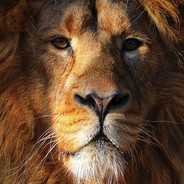 behivor score is under 3k