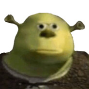 baldshrekzin