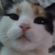mäkeli