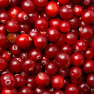 Cranberry Enjoyer