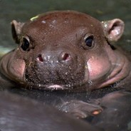 Phillip Stups