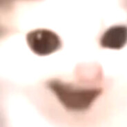 V1ktor