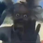 Lokus