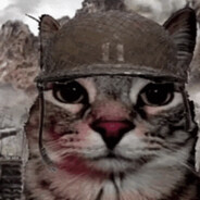 Gato