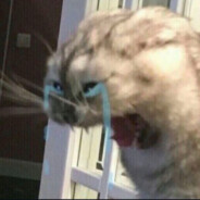 190