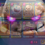 2.6 HOG CYCLE USER