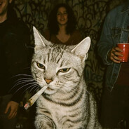 Steam Community Avatar