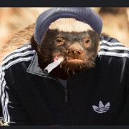 Раздайбеда