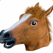MrTenHorse