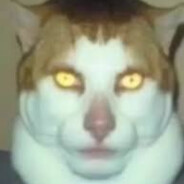 Jinuks