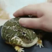 Стояковский