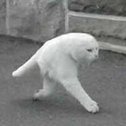 slaj
